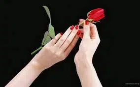 رواية قسمة ونصيب