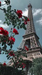 عبير الفؤاد