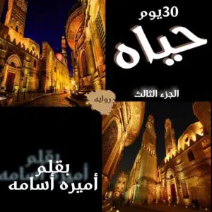 30 يوم حياة 3
