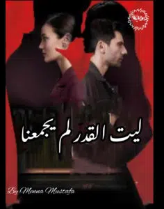 ليت القدر لم يجمعنا