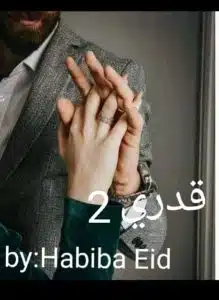 رواية قدري 2 (لعنة عشق)