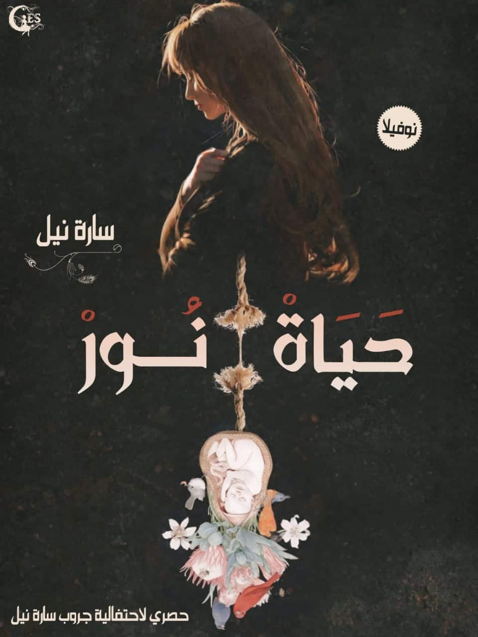 رواية حياة نور الفصل الثاني 2 بقلم سارة أسامة نيل - مدونة دار مصر